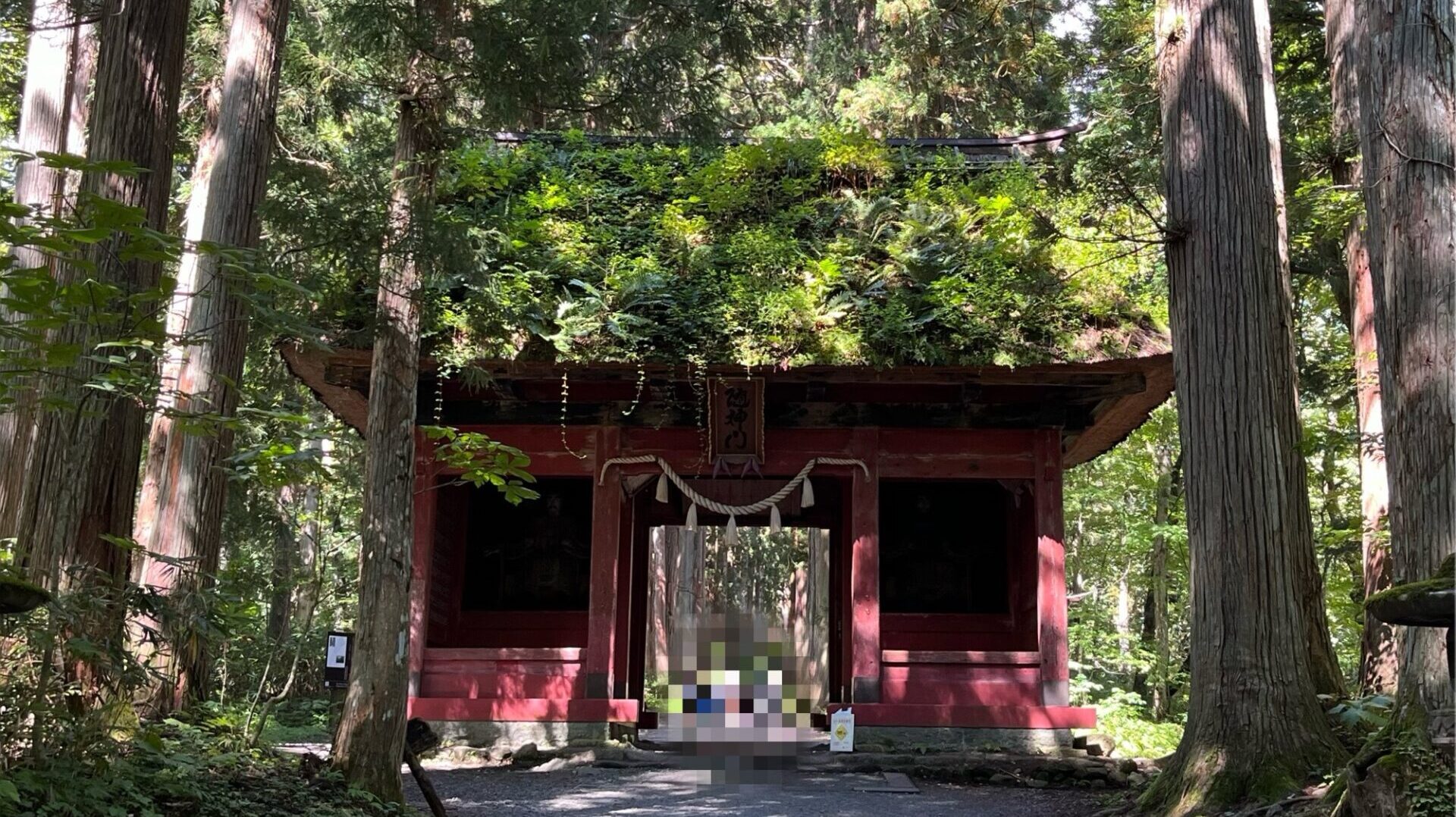 戸隠神社奥社随神門IC