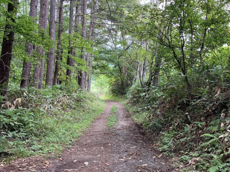 戸隠神社神道