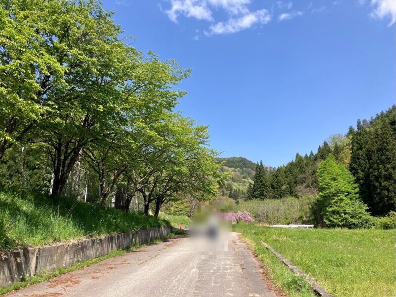 仁科神明宮横の道