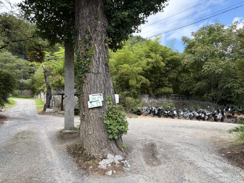店舗横の駐車場